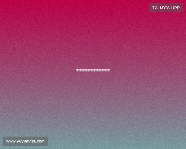 神舟二十号为何遭遇撞击详细解析及专家权威解读